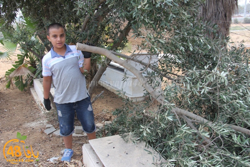 tasoooi3i1412 (17).JPG